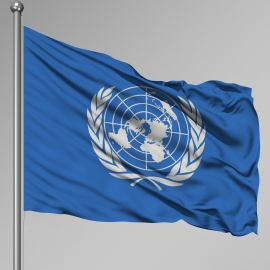 Birleşmiş Milletler Gönder Bayrağı
