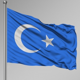 Doğu Türkistan Gönder Bayrağı