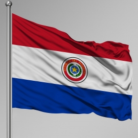 Paraguay Gnder Bayra