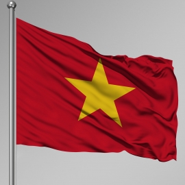 Vietnam Gnder Bayra